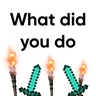 What did you do