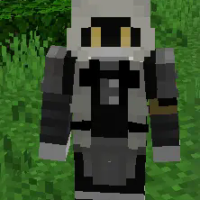 solver/worker cyn skin