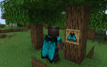 ButterFly Elytra