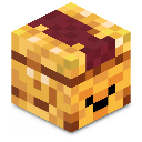 PleerMinecraft