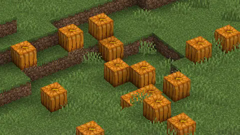 Normal Pumpkins