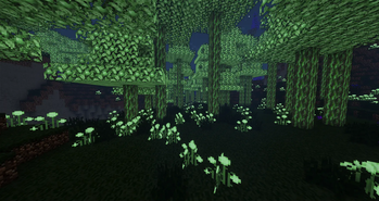 Lots of Biomes!