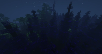 Spooky Forest