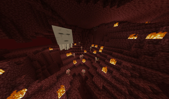 New Nether