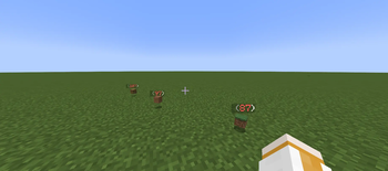 Entity Optimization 