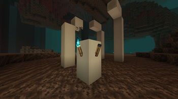 Soul Torches Displayed in Soul Sand Valley