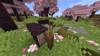 Cherry Blossom Campsite
