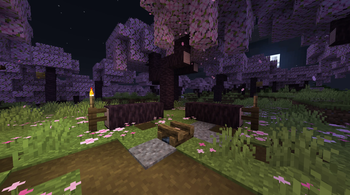 Cherry Blossom Campsite Night