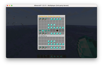 See inventory menu
