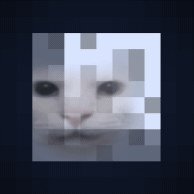 Canny Cat Moons