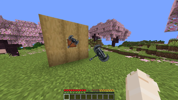 Item Frame/Ground