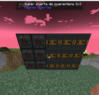 Doors customs