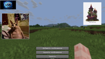 ImagePinnet — screenshot 2