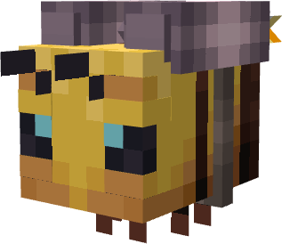 bee front