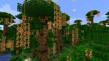 Custom Vine