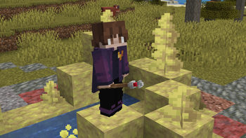 Sylphie's Wand