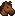 Pet Horse