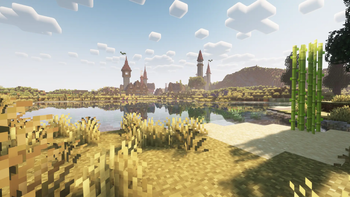 Village