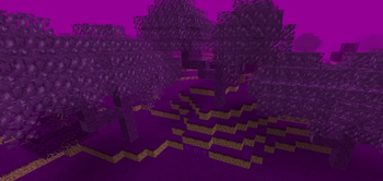 the trees