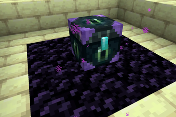 Omni Chest in the world