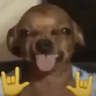 EXEcheINZ