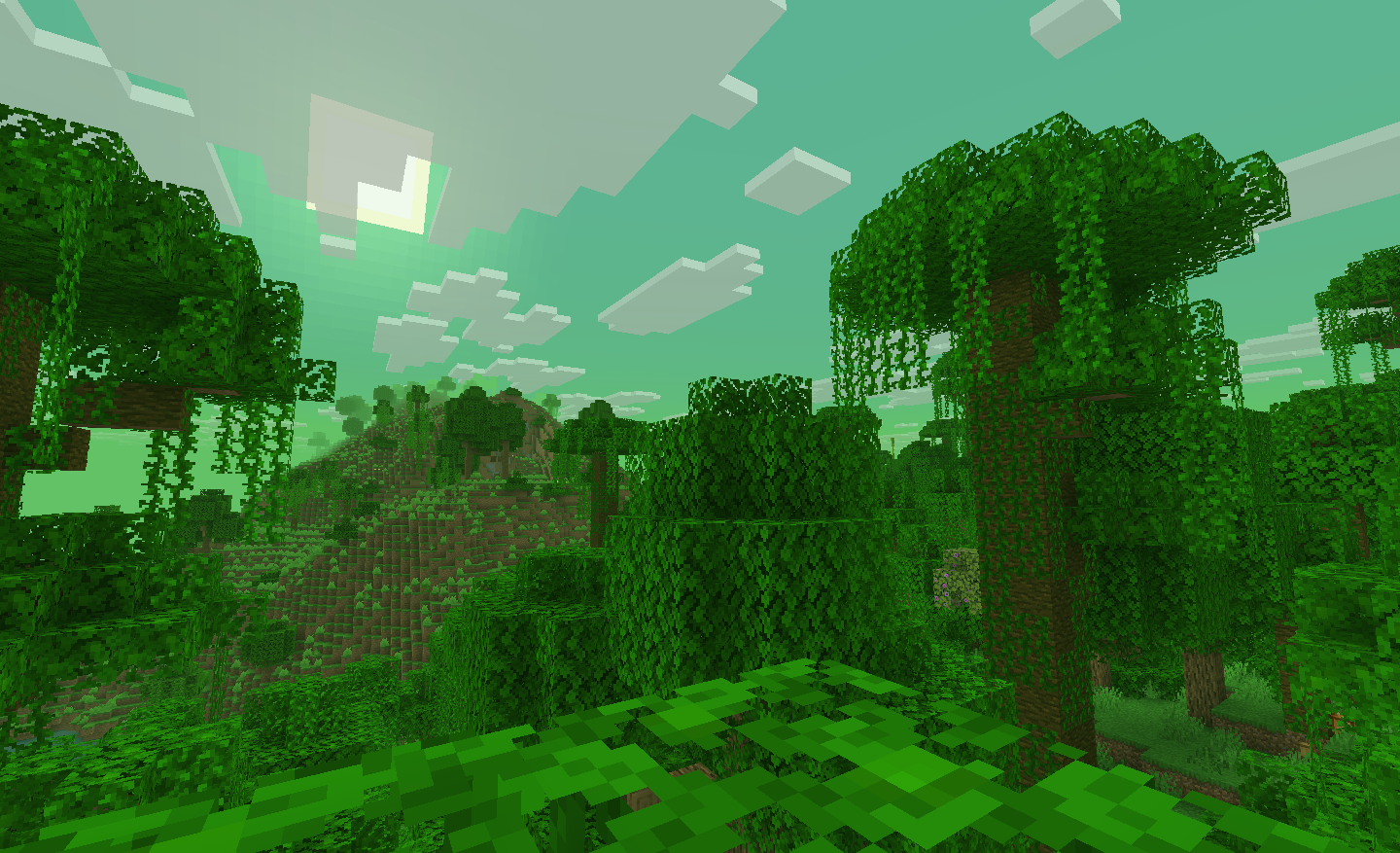 jungle