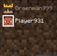 Simple Voice Chat Group Player Names