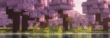 Used with this modpack
