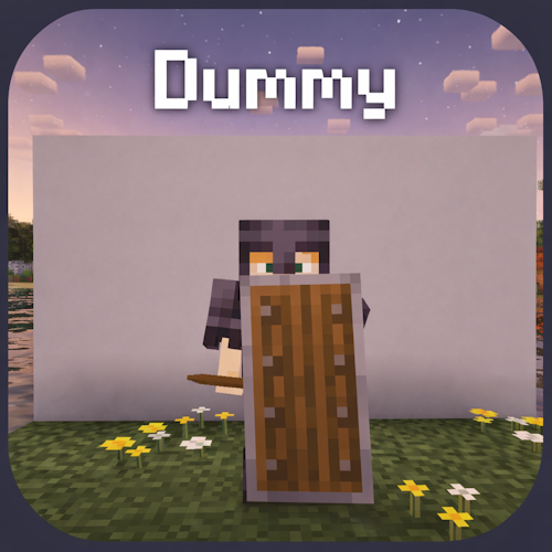 Training Dummy / NPC