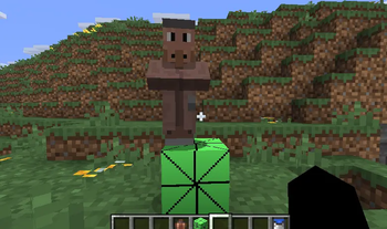 block and villager