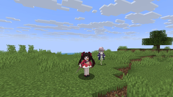 Multiplayer Experience