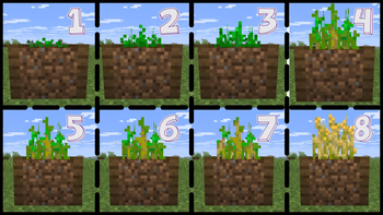 Bibu's Crop Stages — screenshot 2