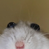 Little_Waffle_Worker