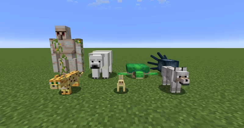 Animals