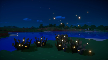 Firefly bushes