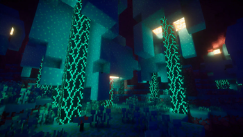 Warped forest