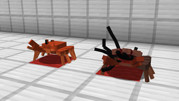 Assimilated Crab