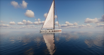 Seagull at sea!