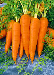 Carrot Armor