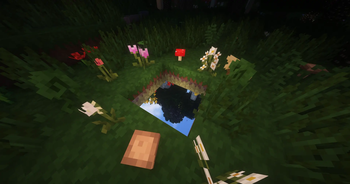 Twilight Forest (After)