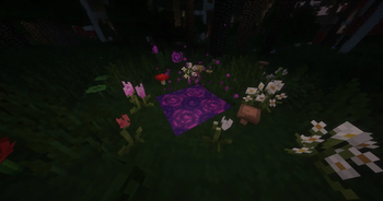 Twilight Forest (Before)