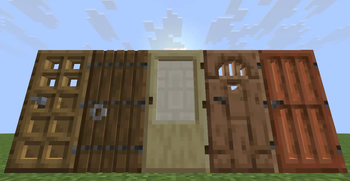 Door 1
