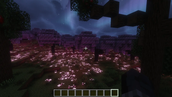 Lost Nights