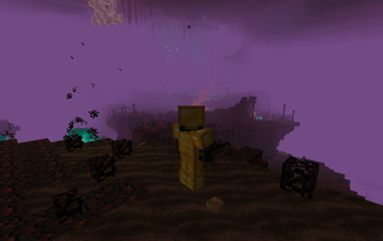 The Nether