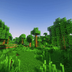Jungle
