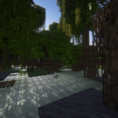 Mangrove swamp