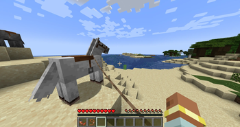 A tamed horse with a lead