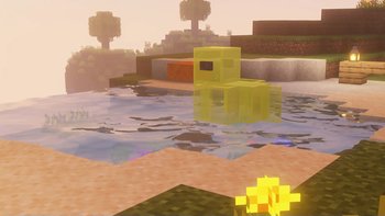 Pond