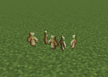 discarded totems