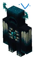 ServerWardenFight